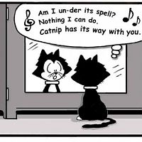 Miss Kitty Fantastico