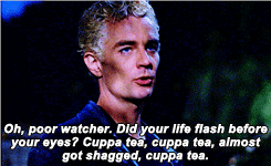 tumblr_n0vr8o6TdV1s5zj1ko4_r1_250.gif
